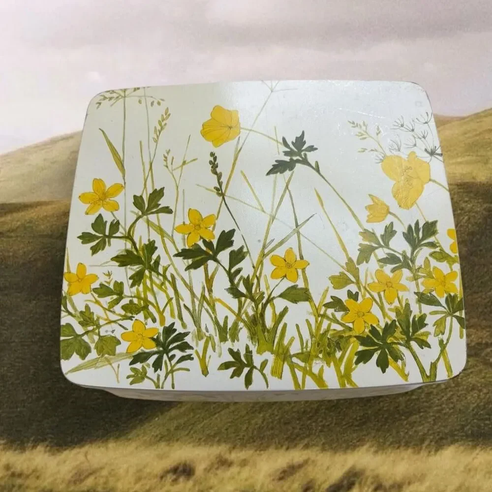 Cottagecore Boho Fairy Emma Bridgewater Wild Flowers Deep Rectangular Tin